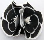 Amelia - discounted price $139.50