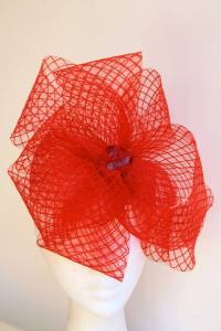 945081_10151621775163928_276044286_n