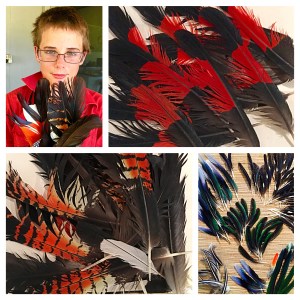 Blog March 2016 feathers Image